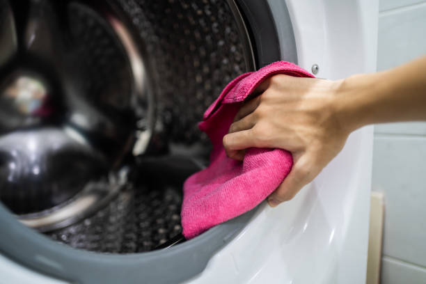 Reliable Poulsbo, WA Mold Removal Solutions