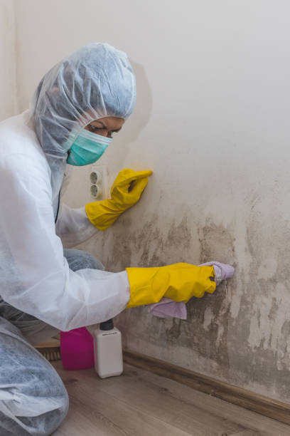 Best Mold Remediation for Healthcare Facilities  in Poulsbo, WA