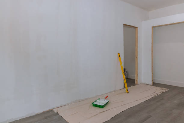 Mold Odor Removal Services in Poulsbo, WA