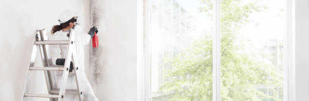 Best Indoor Air Quality Assessment  in Poulsbo, WA